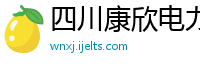 四川康欣电力工程公司